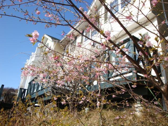 Liberty Hill Ito (Shizuoka) Exterior foto