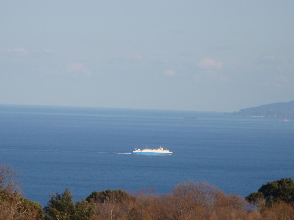 Liberty Hill Ito (Shizuoka) Quarto foto